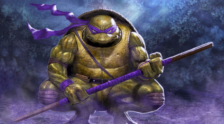 The ninja turtles names Donatello