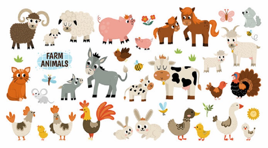 farm animals