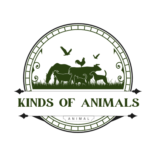 Kinds of animals