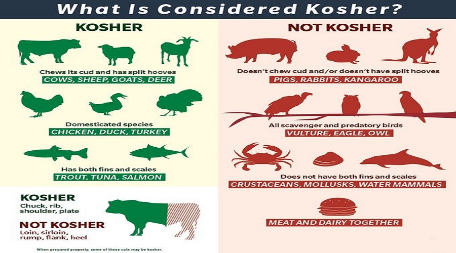 What is a kosher animals? - Kinds of animals