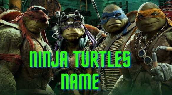 what was the ninja turtles names
